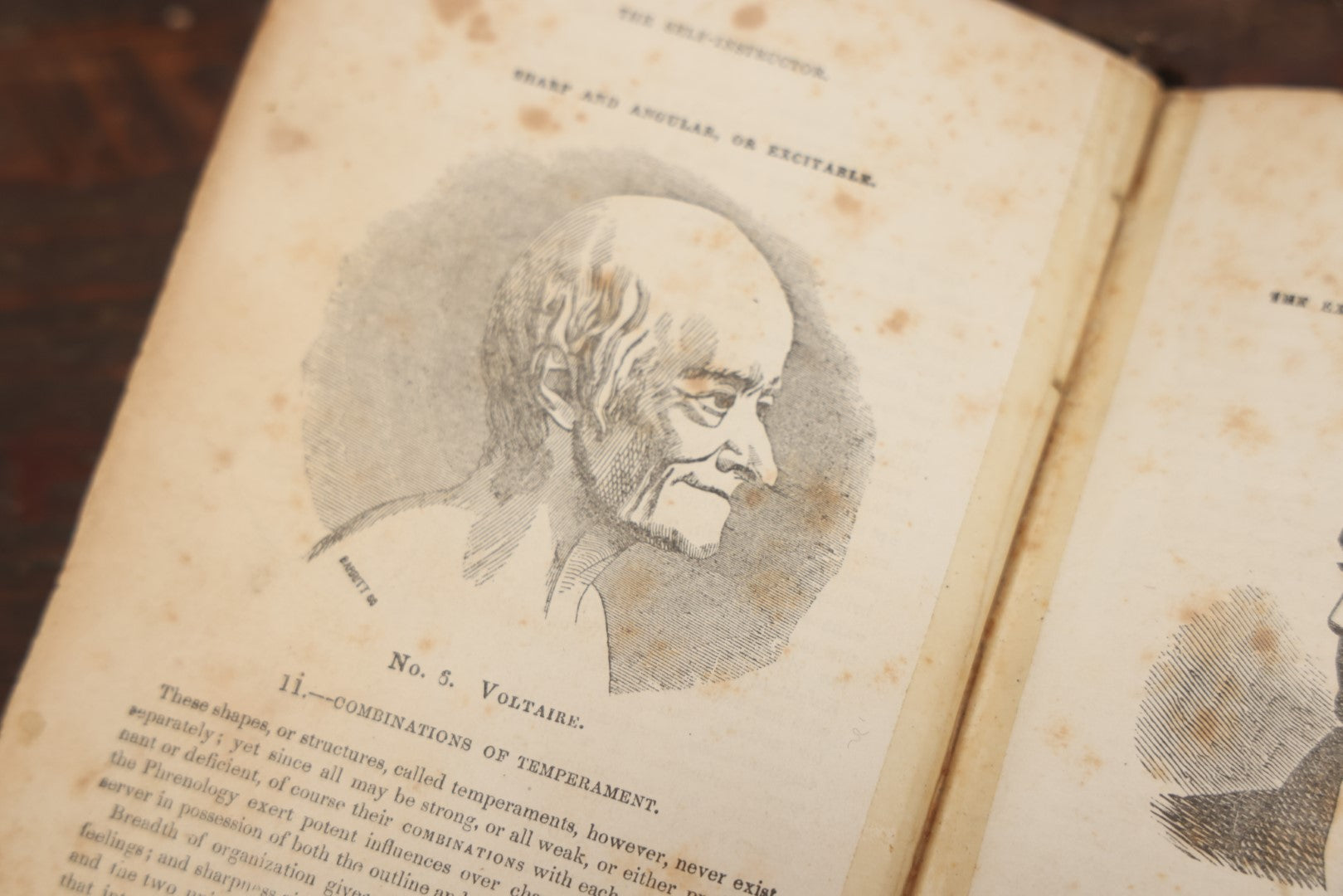 Lot 082 - "The Illustrated Self-Instructor In Phrenology And Physiology With 100 Engravings And A Chart Of The Character" Antique Book By O.S. And L.N. Fowler, 1854 Edition