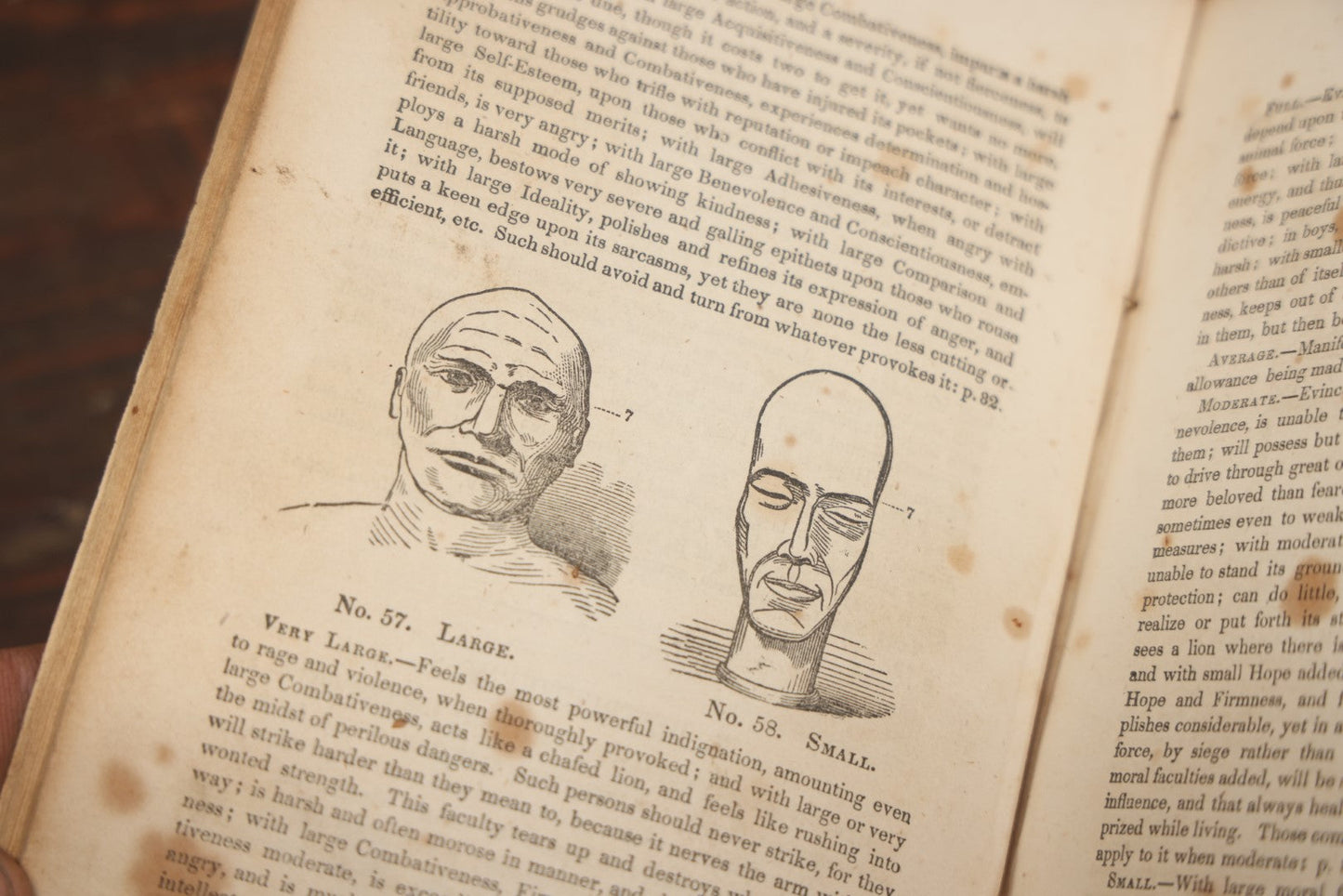 Lot 082 - "The Illustrated Self-Instructor In Phrenology And Physiology With 100 Engravings And A Chart Of The Character" Antique Book By O.S. And L.N. Fowler, 1854 Edition