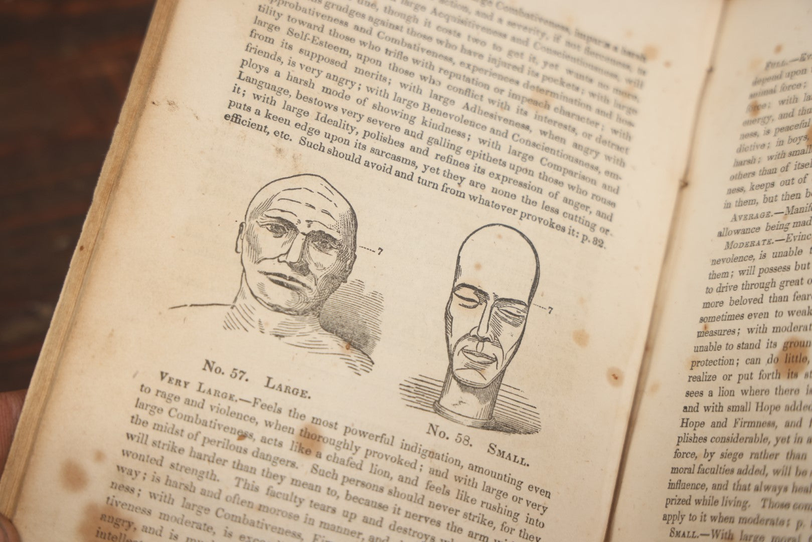 Lot 082 - "The Illustrated Self-Instructor In Phrenology And Physiology With 100 Engravings And A Chart Of The Character" Antique Book By O.S. And L.N. Fowler, 1854 Edition
