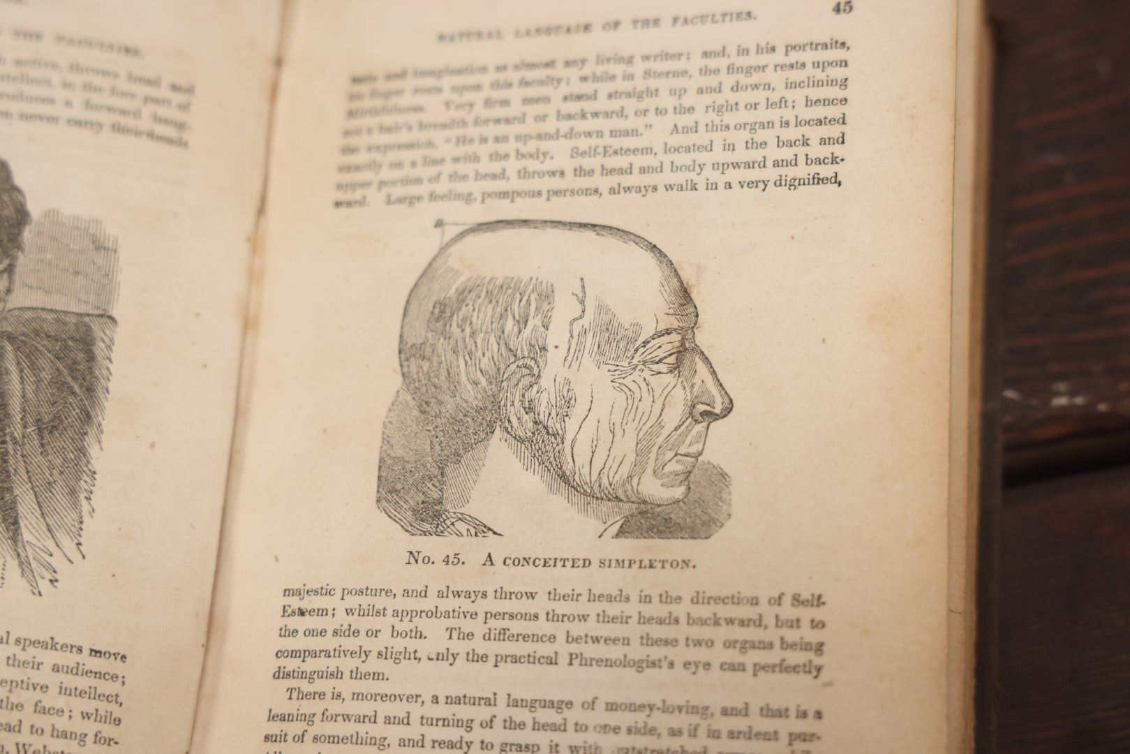 Lot 082 - "The Illustrated Self-Instructor In Phrenology And Physiology With 100 Engravings And A Chart Of The Character" Antique Book By O.S. And L.N. Fowler, 1854 Edition
