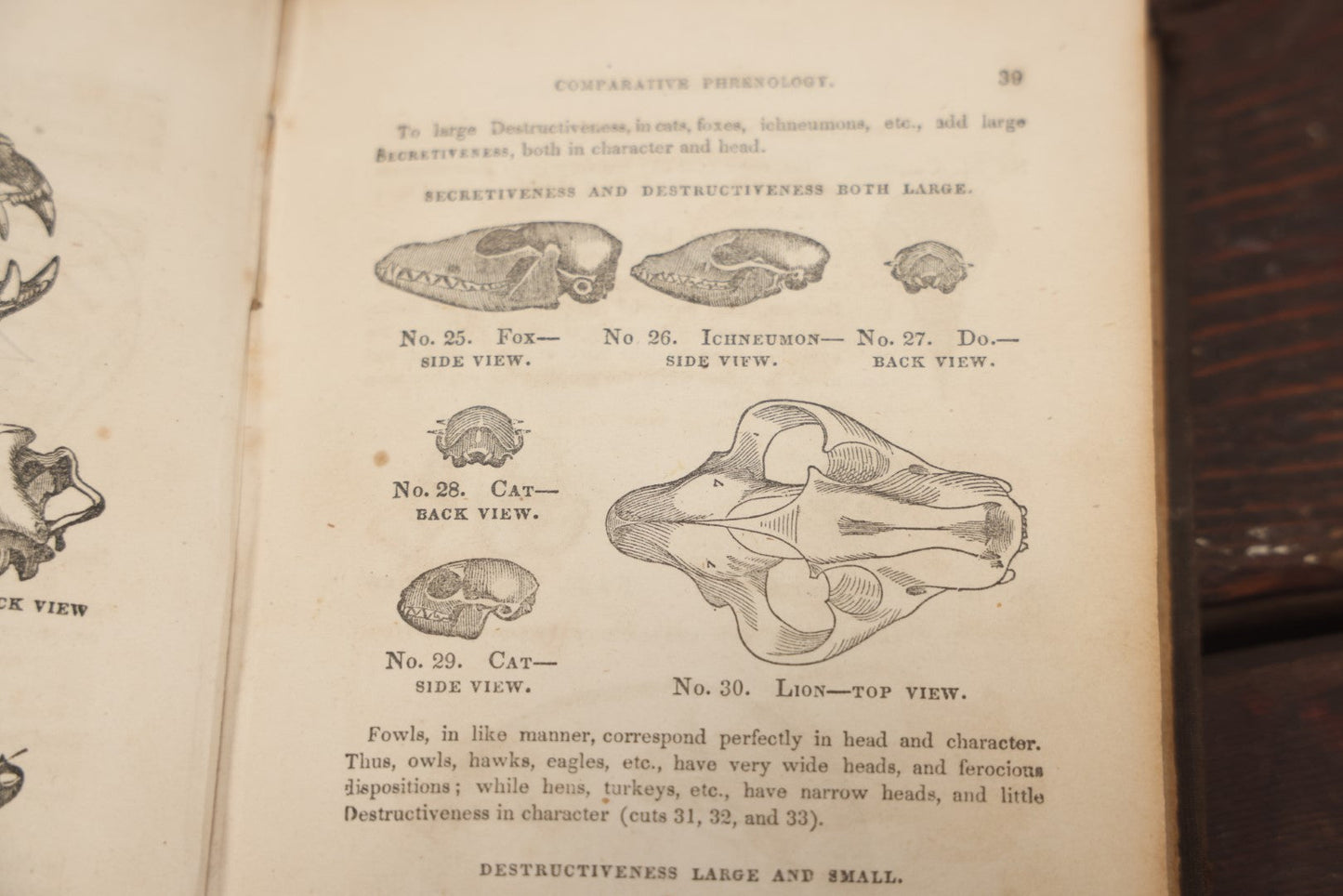 Lot 082 - "The Illustrated Self-Instructor In Phrenology And Physiology With 100 Engravings And A Chart Of The Character" Antique Book By O.S. And L.N. Fowler, 1854 Edition