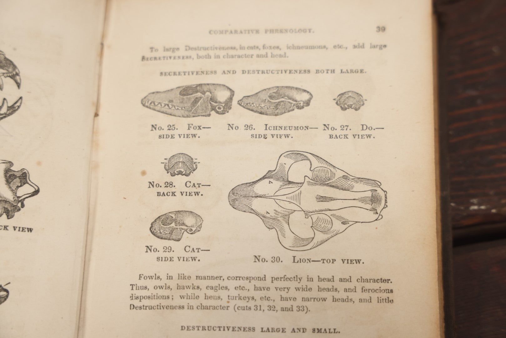 Lot 082 - "The Illustrated Self-Instructor In Phrenology And Physiology With 100 Engravings And A Chart Of The Character" Antique Book By O.S. And L.N. Fowler, 1854 Edition