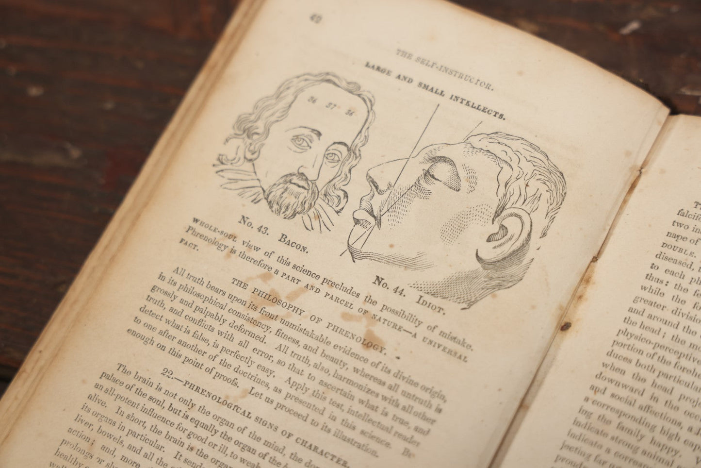 Lot 082 - "The Illustrated Self-Instructor In Phrenology And Physiology With 100 Engravings And A Chart Of The Character" Antique Book By O.S. And L.N. Fowler, 1854 Edition