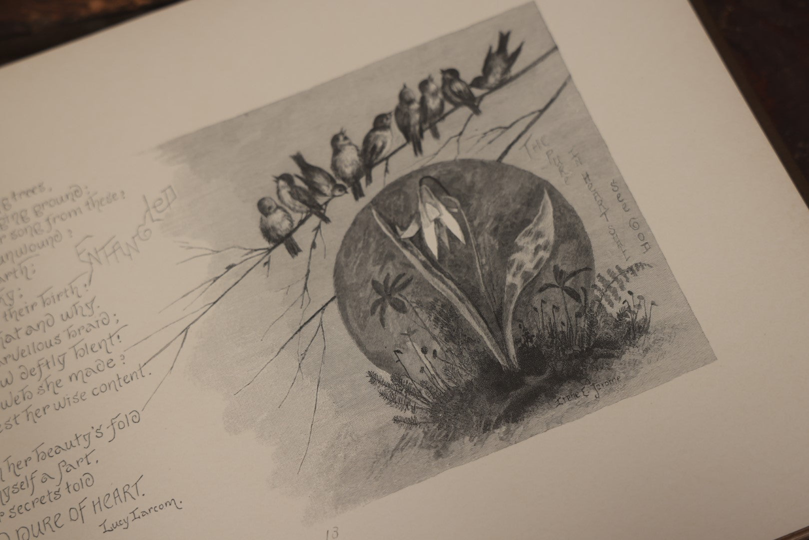 Lot 088 - "Nature'S Hallelujah" Antique Book Illustrated And Arranged By Irene E. Jerome, Profusely Illustrated With Engravings, Lee And Shepard Publishers, Boston, 1887