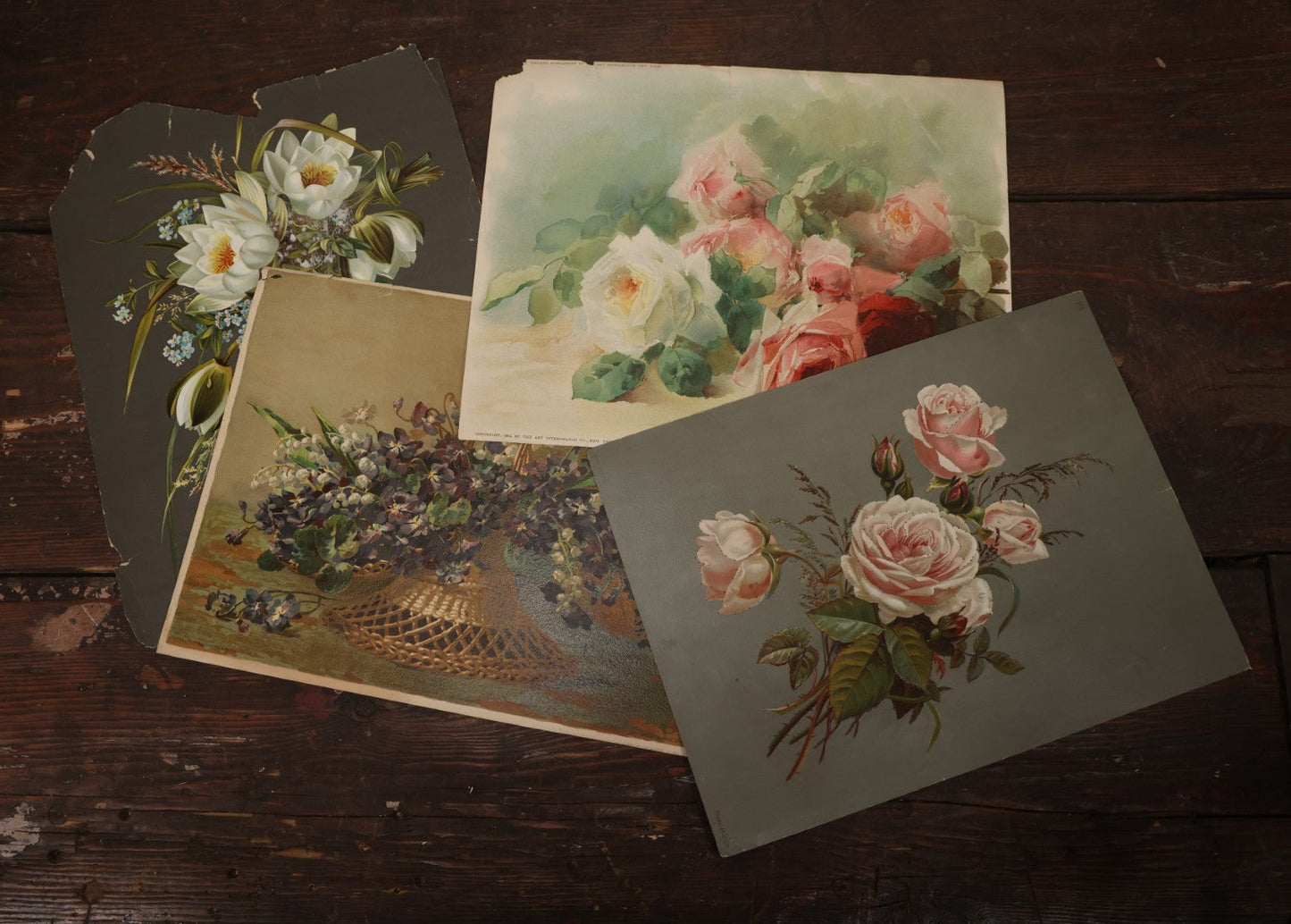 Lot 097 - Grouping Of Four Botanical And Floral Chromolithographs, Including One With Pinholes For Light Effect, Roses, Forget-Me-Nots, Violets, And More