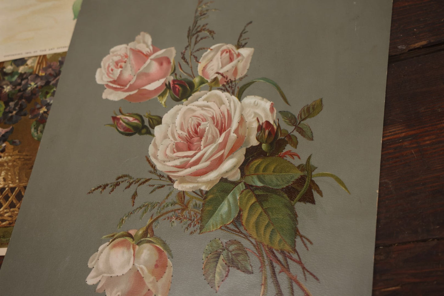 Lot 097 - Grouping Of Four Botanical And Floral Chromolithographs, Including One With Pinholes For Light Effect, Roses, Forget-Me-Nots, Violets, And More