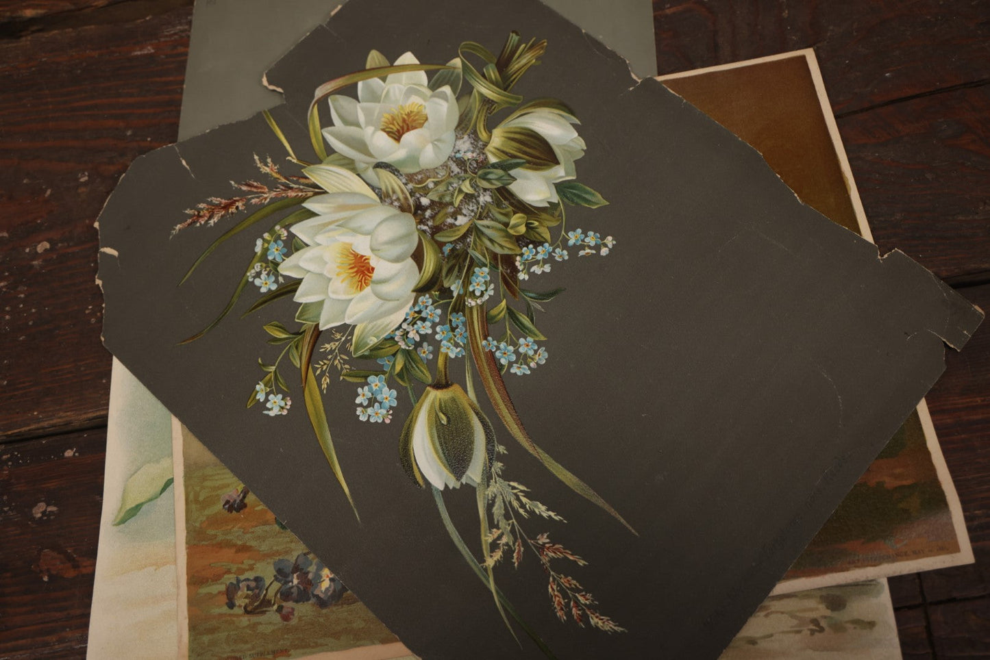 Lot 097 - Grouping Of Four Botanical And Floral Chromolithographs, Including One With Pinholes For Light Effect, Roses, Forget-Me-Nots, Violets, And More