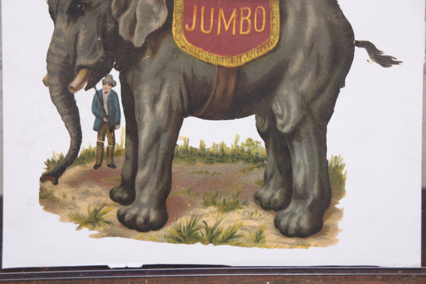 Lot 098 - Single Ephemera Scrap, Die Cut Circus Elephant "Jumbo" Mounted To Plain White Paper, Note Losses, Tail Detached