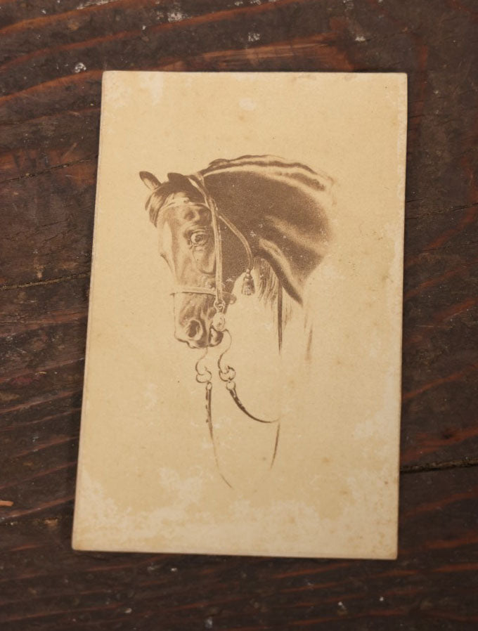 Lot 102 - Antique Carte De Visite C.D.V. Album Filler Card, "My Horse," Illustration By Sir Edwin Landseer, H.T. Ryall
