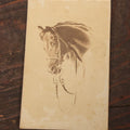 Lot 102 - Antique Carte De Visite C.D.V. Album Filler Card, "My Horse," Illustration By Sir Edwin Landseer, H.T. Ryall