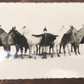 Lot 108 - Antique Snapshot Photograph Of Mabel Mach And Her Circus Mules, Wilmington Ohio, With Stamp From Marion W. Organ, Circusiana Dealer