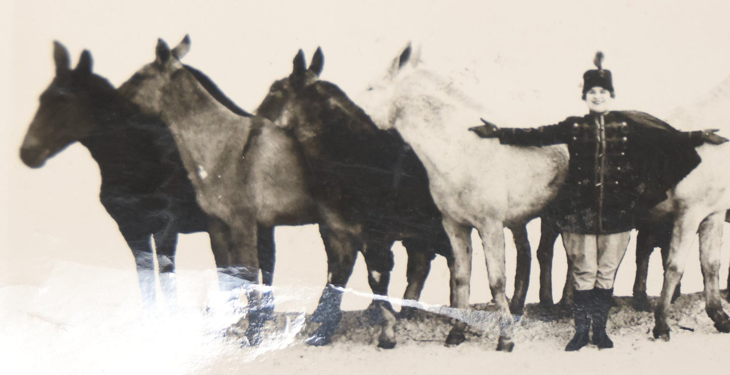 Lot 108 - Antique Snapshot Photograph Of Mabel Mach And Her Circus Mules, Wilmington Ohio, With Stamp From Marion W. Organ, Circusiana Dealer