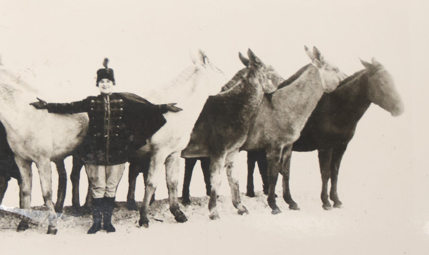 Lot 108 - Antique Snapshot Photograph Of Mabel Mach And Her Circus Mules, Wilmington Ohio, With Stamp From Marion W. Organ, Circusiana Dealer