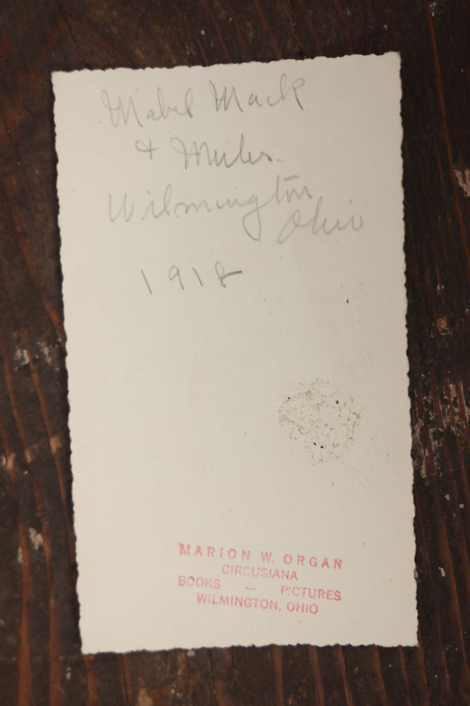 Lot 108 - Antique Snapshot Photograph Of Mabel Mach And Her Circus Mules, Wilmington Ohio, With Stamp From Marion W. Organ, Circusiana Dealer