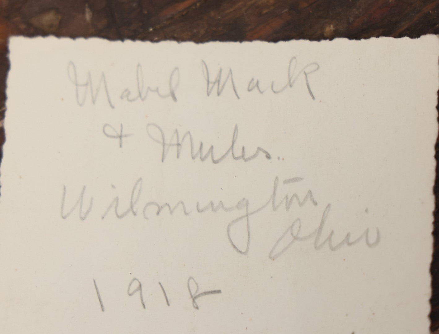 Lot 108 - Antique Snapshot Photograph Of Mabel Mach And Her Circus Mules, Wilmington Ohio, With Stamp From Marion W. Organ, Circusiana Dealer