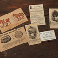 Lot 119 - Grouping Of Six Antique Trade Cards Advertising Jewett's Champion Horse And Cattle Cleaner, Livery Stable In Millville, Massachusetts, New Home Sewing Machine, And Horsford's Acid Phosphate