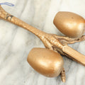 Lot 088 - Antique Real Taxidermy Chicken Foot Wall Hanging Match Safe And Match Strike With Claw