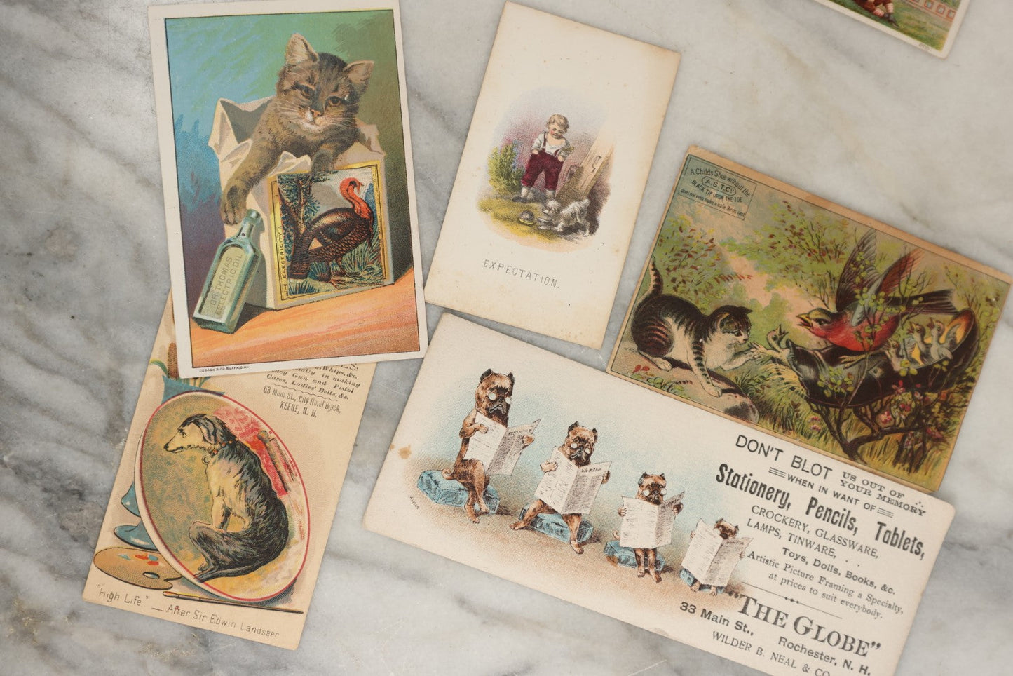 Lot 161 - Grouping Of 10+ Antique Victorian Trade Cards Depicting Dogs, Cats, Pets, Etc., Including Blotter, New Home Sewing, And Others