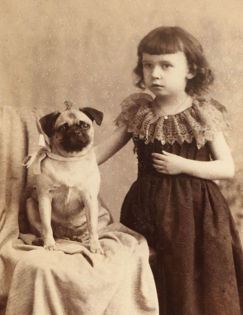 Lot 065 - Antique Cabinet Card Photograph Of A Little Girl And Her Pug Dog, Sitting On Chair, Crane And Collyer Photographers, Waterbury, Connecticut
