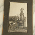 Lot 087 - Antique Boarded Photograph Of A Very Happy Black And White Dog Sitting On A Chair Outdoors, With A Hat On The Ground Beside Him