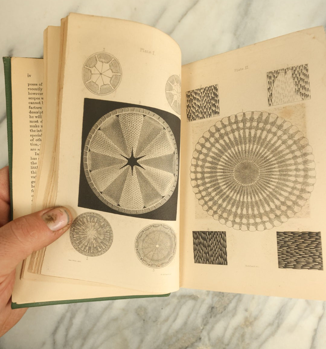 Lot 123 - "The Microscope And Its Revelations" Antique Book By William B. Carpenter, Illustrated By Twenty-Six Plates And Five Hundred Wood-Engravings, Published 1881