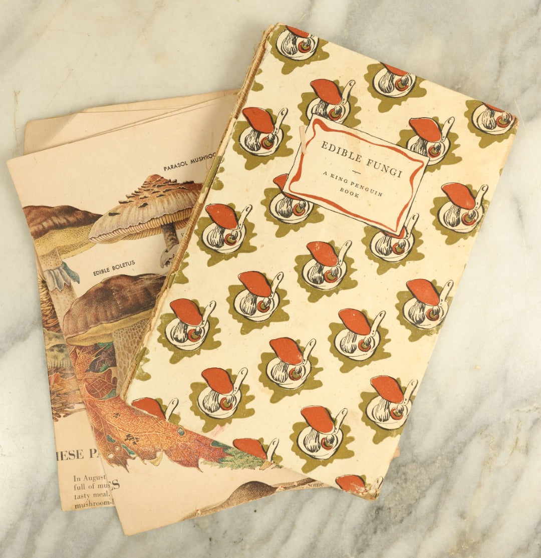 Lot 125 - Grouping Of Five Vintage Books On Mushrooms And Fungi, Including Poisonous Fungi, Twenty Common Mushrooms, And More