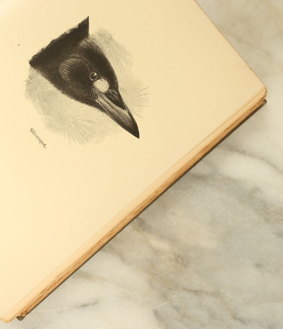 Lot 130 - Grouping Of Three Antique Books, Including "Wild Animals I Have Known," The Poems Of Robert Louis Stevenson, And "Modern American Poets" Circa Early 20th Century
