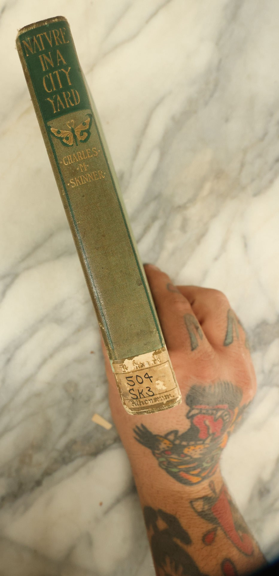 Lot 135 - "Nature In A City Yard: Some Rambling Dissertations Thereupon" Antique Book By Charles M. Skinner, Published 1897, With Butterfly On Cover, Spine