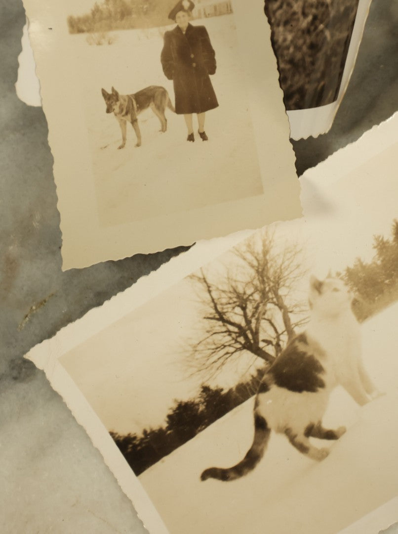 Lot 140 - Grouping Of 15+ Vintage Snapshot Photographs Of People And Their Pets, Including Cats, Dogs, A Bunny, And Turkeys