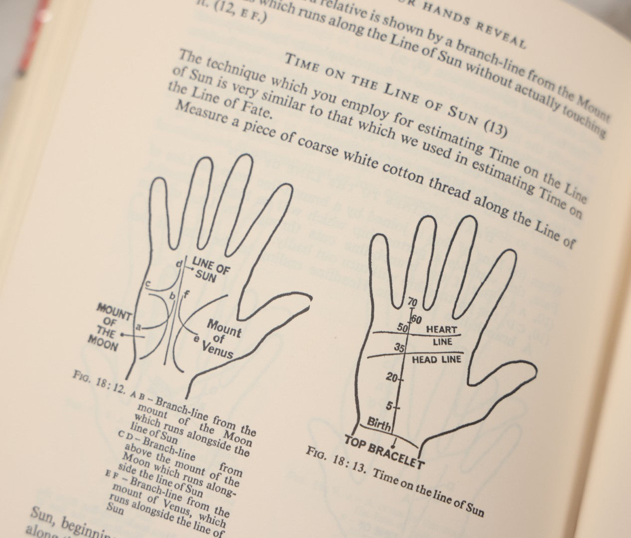 Lot 013 - "What Your Hands Reveal" Vintage Palmistry Book By Jo Sheridan, Bell Publishing Company, 1863, Illustrated