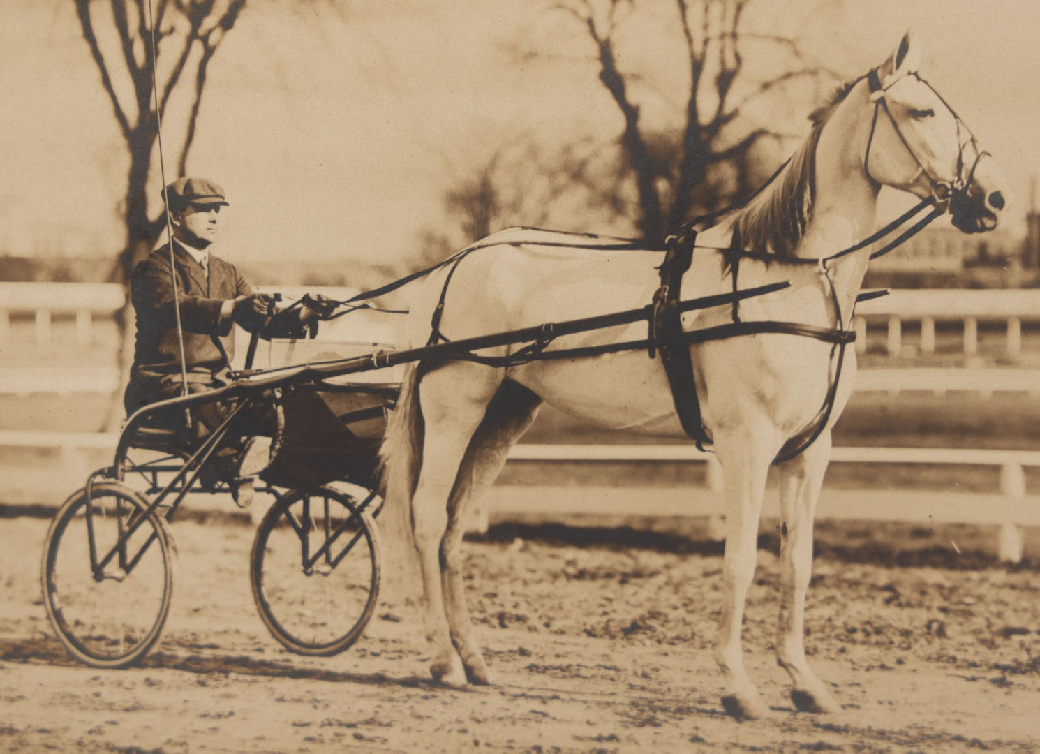 Lot 071 - Antique Boarded Photo Of Reverend Rice With His Prize-Winning Horse "The Ghost,"  Info On Verso