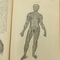 Lot 122 - "The People's Common Sense Medical Adviser In Plain English, Or, Medicine Simplified" Antique Illustrated Medical Book By R.V. Pierce, M.D., Twelfth Revised Edition, Buffalo, New York, 1883