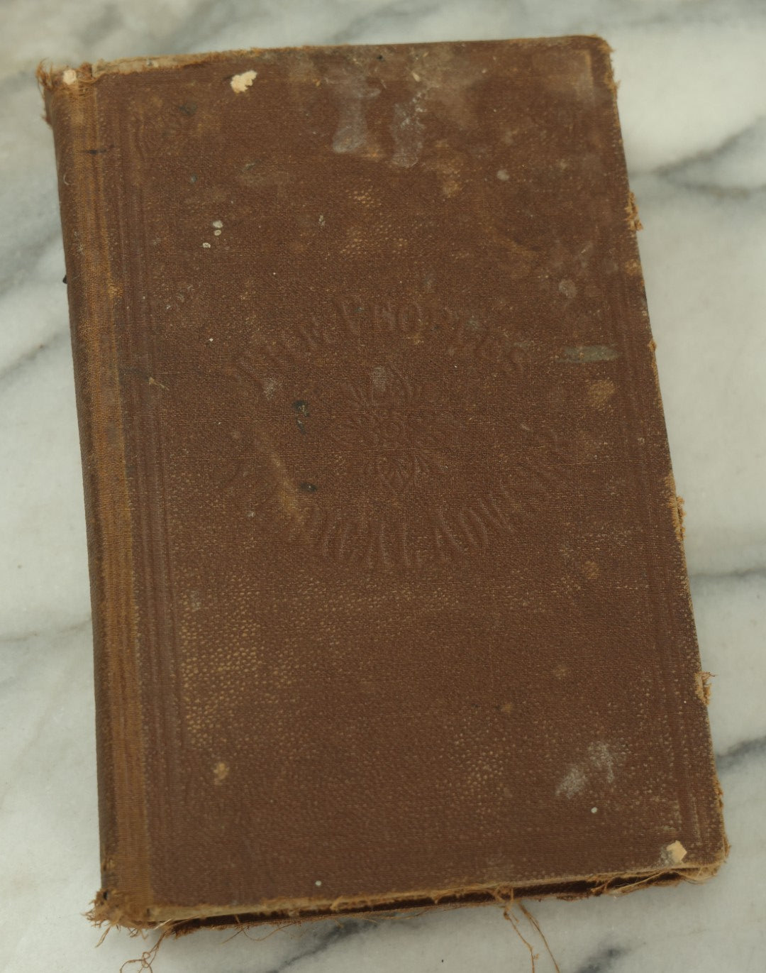 Lot 122 - "The People's Common Sense Medical Adviser In Plain English, Or, Medicine Simplified" Antique Illustrated Medical Book By R.V. Pierce, M.D., Twelfth Revised Edition, Buffalo, New York, 1883