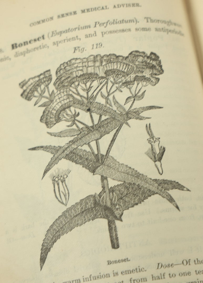 Lot 122 - "The People's Common Sense Medical Adviser In Plain English, Or, Medicine Simplified" Antique Illustrated Medical Book By R.V. Pierce, M.D., Twelfth Revised Edition, Buffalo, New York, 1883