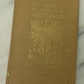 Lot 127 - "Field Book Of American Wild Flowers" Vintage Book By F. Schuyler Mathews, G.P. Putnam's Sons, Publisher, New York And London, Revised Edition Copyright 1927, Illustrated