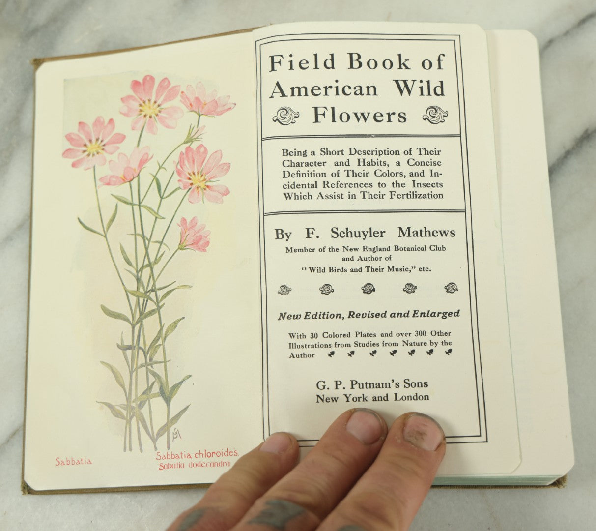 Lot 127 - "Field Book Of American Wild Flowers" Vintage Book By F. Schuyler Mathews, G.P. Putnam's Sons, Publisher, New York And London, Revised Edition Copyright 1927, Illustrated