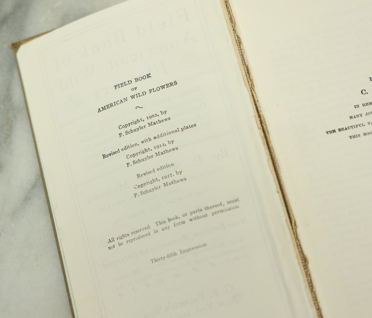 Lot 127 - "Field Book Of American Wild Flowers" Vintage Book By F. Schuyler Mathews, G.P. Putnam's Sons, Publisher, New York And London, Revised Edition Copyright 1927, Illustrated