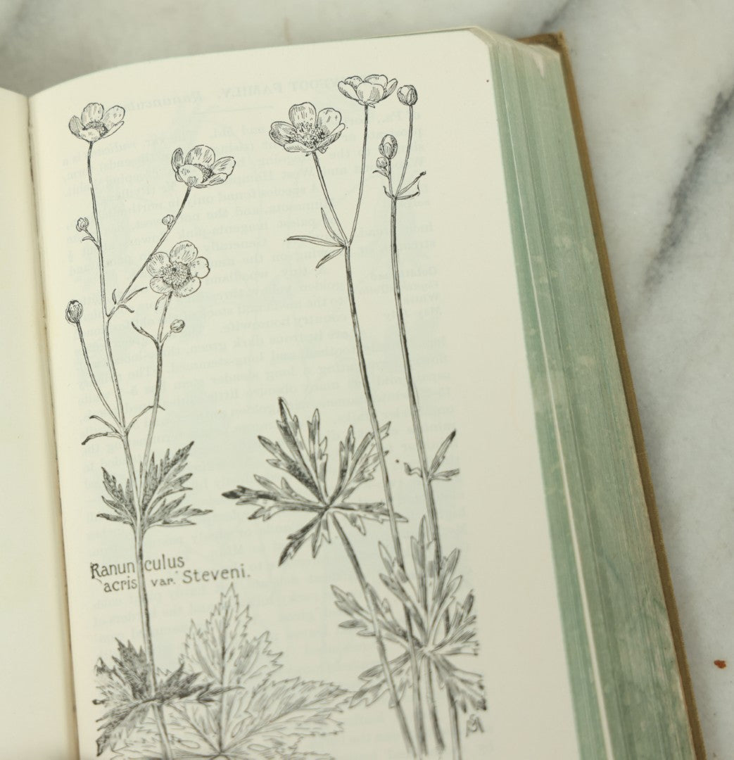 Lot 127 - "Field Book Of American Wild Flowers" Vintage Book By F. Schuyler Mathews, G.P. Putnam's Sons, Publisher, New York And London, Revised Edition Copyright 1927, Illustrated