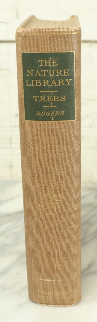 Lot 128 - "The Tree Book: A Popular Guide To A Knowledge Of The Trees Of North America" Antique Book By Julia Ellen Rogers, With 16 Plates In Colour, And 160 In Black And White, Doubleday, Page, And Company Publishers, New York, 1905