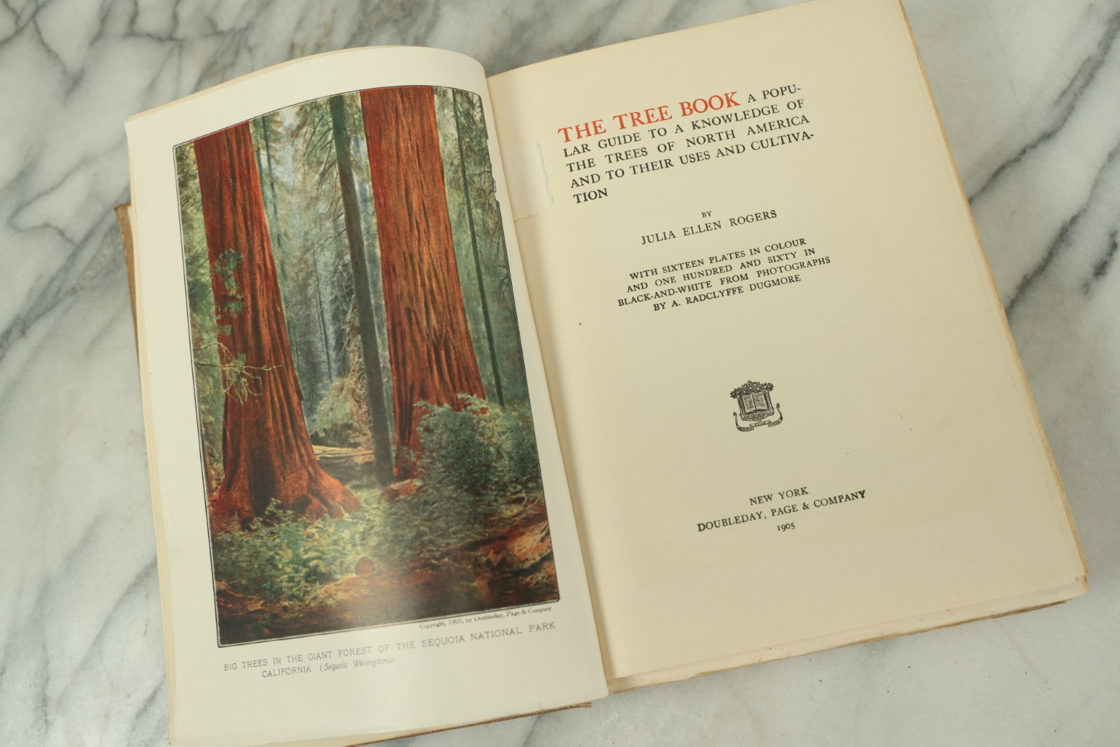 Lot 128 - "The Tree Book: A Popular Guide To A Knowledge Of The Trees Of North America" Antique Book By Julia Ellen Rogers, With 16 Plates In Colour, And 160 In Black And White, Doubleday, Page, And Company Publishers, New York, 1905