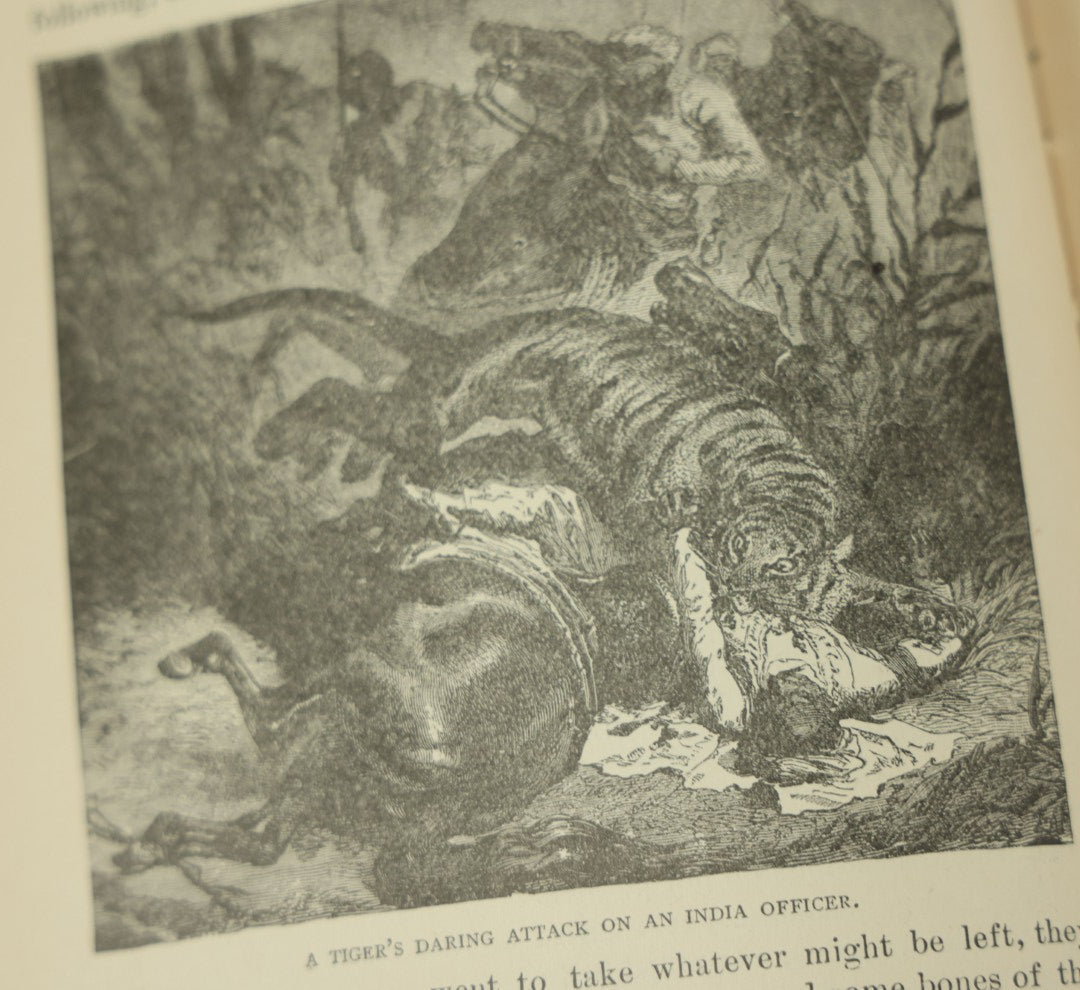 Lot 011 - "Sea And Land, An Illustrated History Of The Wonderful And Curious Things Of Nature" Antique Book By J.W. Buel, Published By Martin Garrison & Co., 1887, Illustrated With Bizarre Scenes And Creatures, Note Cover Detached