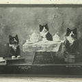 Lot 043 - Antique Photographic Cat Print With Three Black And White Cats Having A Tea Party, Entitled "Waiting For Tea" Copyright 1899 By C.E. Bullard, From "Cat Studies From Life," Published By M.T. Sheehan, Boston, 8-1/2" x 6-1/2"