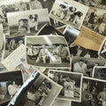 Lot 076 - Grouping Of 50+ Vintage Glossy Press Photographs Of Dog Shows, Best In Show Winners, Many Breeds Including Bulldogs, Poodles, And More, Circa 1950s, For Popular Dogs Magazine