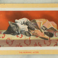 Lot 081 - Single Antique Cat Postcard, Cat Asleep In Clothes, "The Morning After," Postmarked 1913