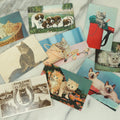 Lot 086 - Grouping Of Nine Vintage Photographic Cat Postcards, Dog Postcard, Including Siamese Cats, And More