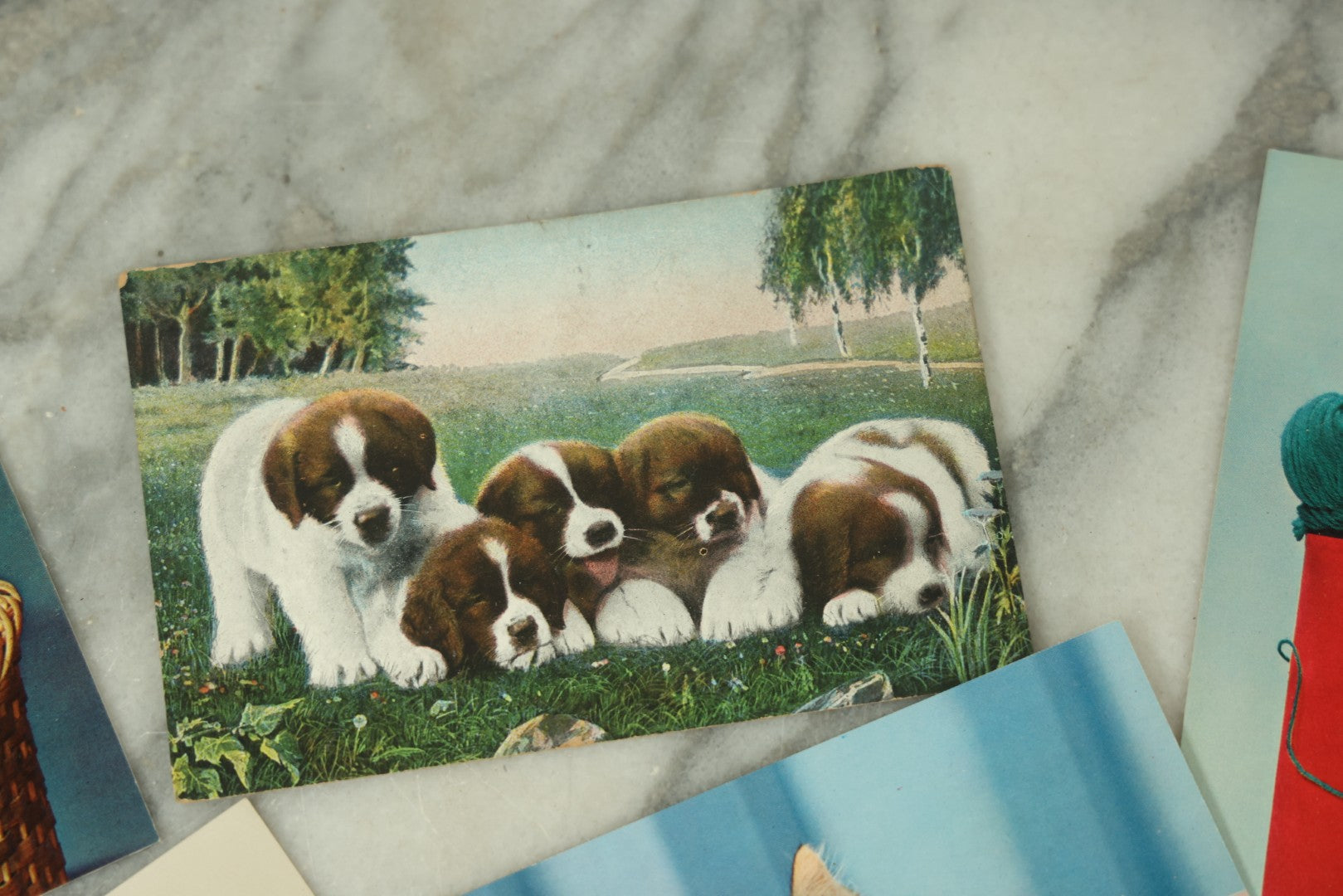 Lot 086 - Grouping Of Nine Vintage Photographic Cat Postcards, Dog Postcard, Including Siamese Cats, And More