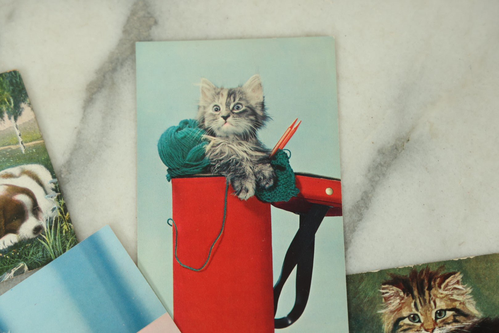 Lot 086 - Grouping Of Nine Vintage Photographic Cat Postcards, Dog Postcard, Including Siamese Cats, And More