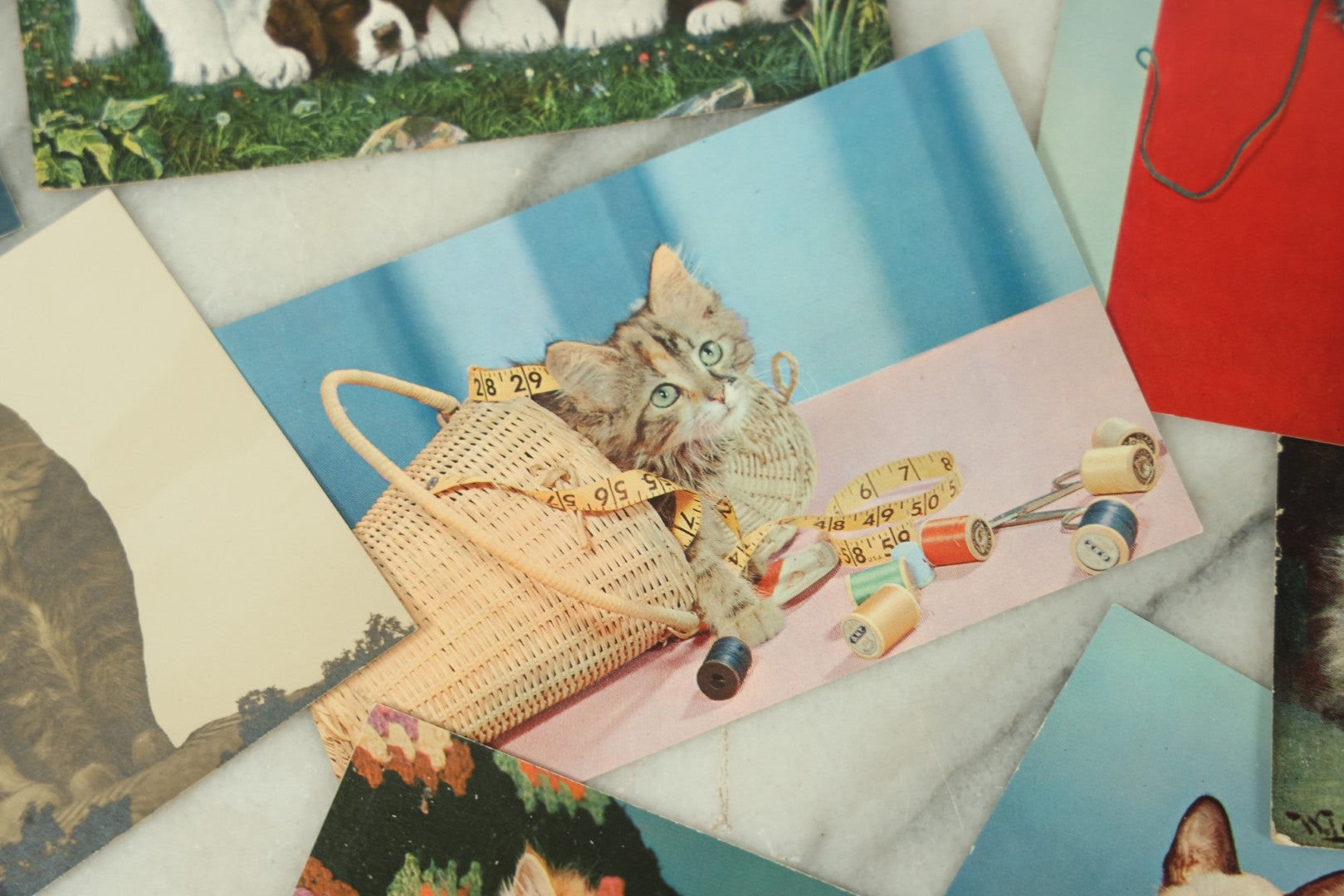 Lot 086 - Grouping Of Nine Vintage Photographic Cat Postcards, Dog Postcard, Including Siamese Cats, And More