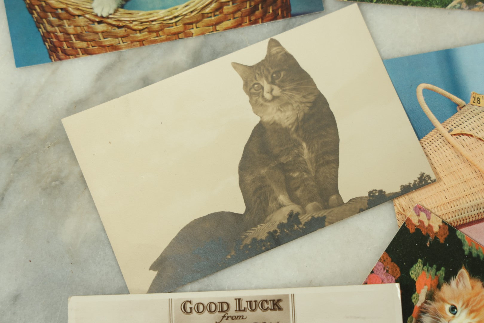 Lot 086 - Grouping Of Nine Vintage Photographic Cat Postcards, Dog Postcard, Including Siamese Cats, And More