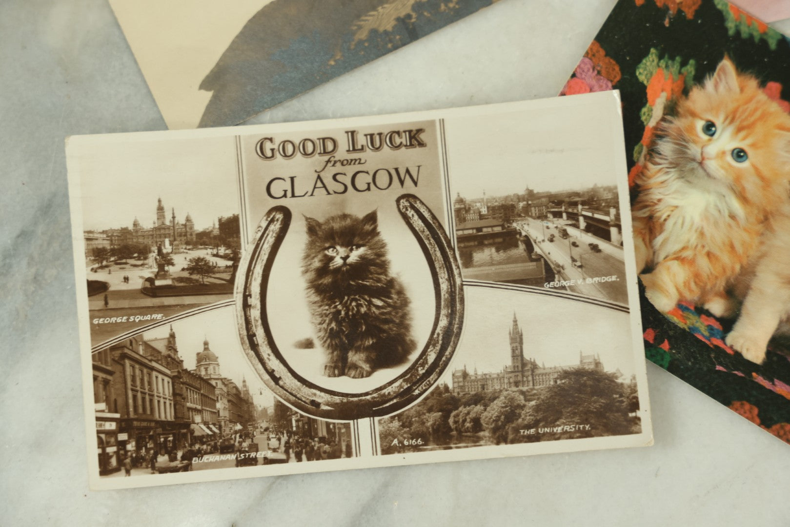 Lot 086 - Grouping Of Nine Vintage Photographic Cat Postcards, Dog Postcard, Including Siamese Cats, And More